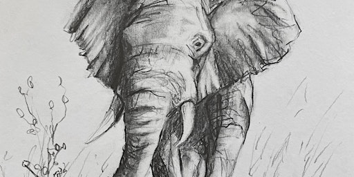 Primaire afbeelding van 3 Week Introduction to Drawing Class (Adults) - Tuesday Morning