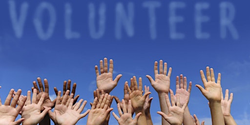 May Volunteer Information Hour: North Somerset Libraries  primärbild