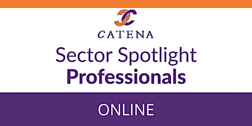 Imagem principal de Sector Spotlight - The Professionals