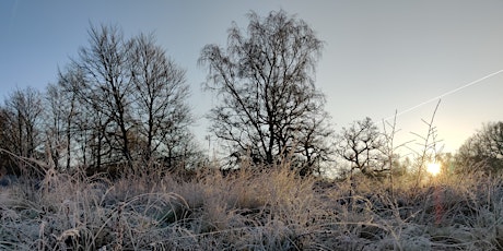 A Winter Trail in the North of the Forest - Epping Forest Guided Walk  primärbild