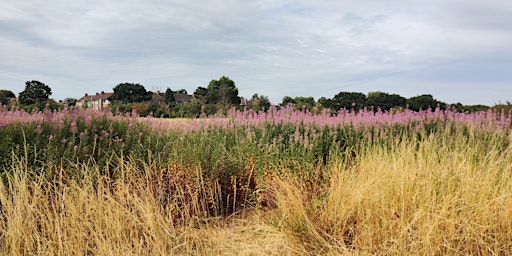 Imagem principal do evento Wanstead Flats & the story of 'Saving the People's Forest' - Guided Walk