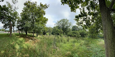 Primaire afbeelding van Bird Walk: Upton Hill Regional Park