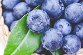 Food Safety Training for Blueberry Growers primary image