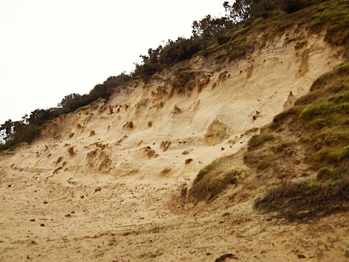 The Early Cretaceous in West Norfolk image