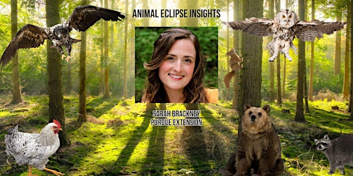 Animal Eclipse Insights primary image