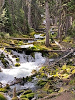 Guided hike to  Watridge Lake and Karst Springs (2BL) primary image