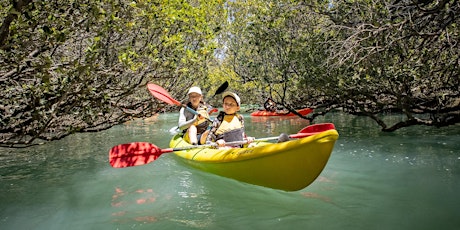 Little Bunyips Dolphin Kayaking (Full Day $120) primary image