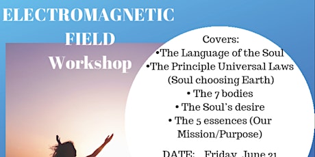 The Electromagnetic Field Workshop (Cash Fee to be paid at the door ONLY) primary image