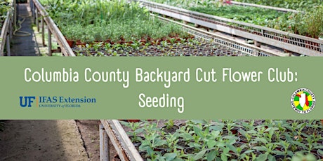 Columbia Co. Backyard Cut Flower Club: What to Seed in January primary image