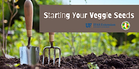 Imagen principal de Seed Starting for Your Veggie Garden