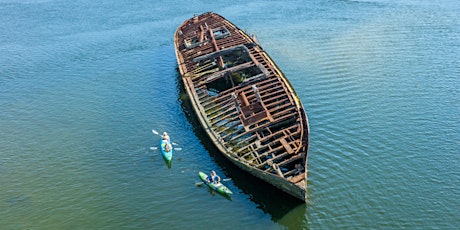 Dolphin and Ship Wreck Kayak (3 Hours - $59) primary image