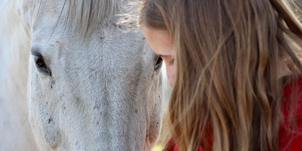 Zoom consultation - calling all Equine-Assisted Services (EAS) stakeholders