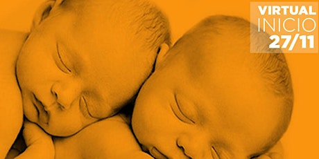 Primaire afbeelding van Gestación y primeros meses de vida