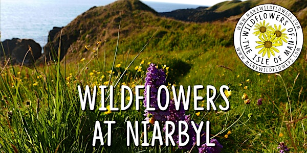 Wildflower Walk at Niarbyl