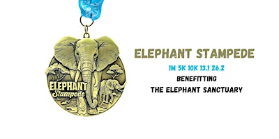Imagem principal do evento Elephant Stampede 1M 5K 10K 13.1 26.2-Save $2
