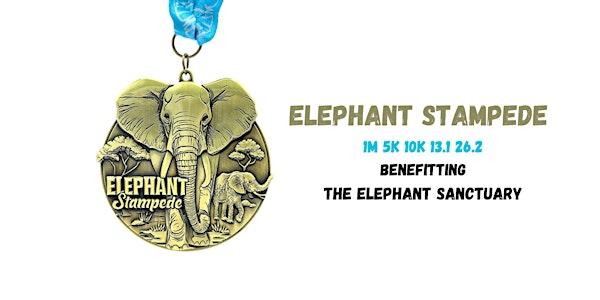 Elephant Stampede 1M 5K 10K 13.1 26.2-Save $2
