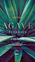Primaire afbeelding van AGAVE TUESDAYS: Tequila & Taco Nights @ Mister C (Free Entry)