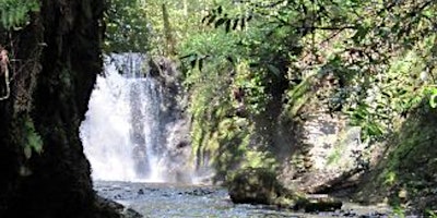 Hauptbild für Autumn Wellness Retreat