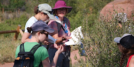 NPM Course on Wetland/Riparian Plants - Wednesdays, 7/24, 7/31, 8/14; 8:30 AM - 12:30 PM primary image