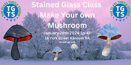 Make Your Own Mushroom Stained Glass Class primary image