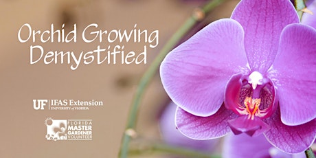 Orchid Growing Demystified primary image