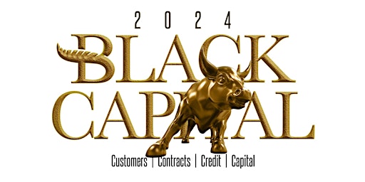Primaire afbeelding van Black Capital