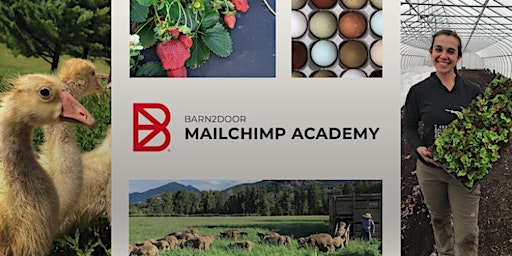 Image principale de Barn2Door Academy: Mailchimp (May 2024)