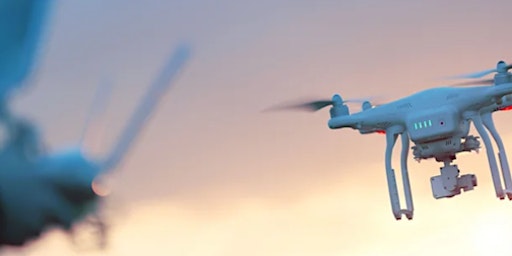 Imagem principal de Drone Flying Lessons: For Fun, Film & Security!
