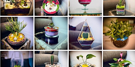 Imagen principal de Terrarium Workshop