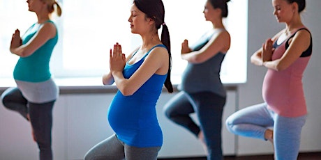 MAMABARRE: SHAKTIBARRE CLASSES & GATHERINGS FOR PREGNANT WOMEN primary image