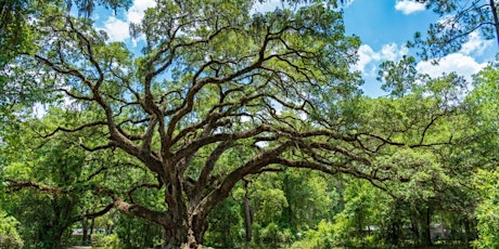 FLORIDA NATIVE PLANT SOCIETY - PRESCRIBED FIRE - MOUNTS WEST PALM BEACH FL