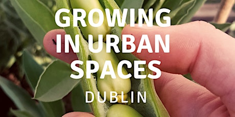 Growing in Urban Spaces - Dublin primary image