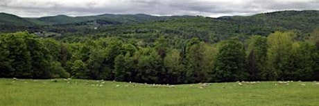 Upland Hay and Pasture Improvement at Tamarack Vermont Sheep Farm primary image
