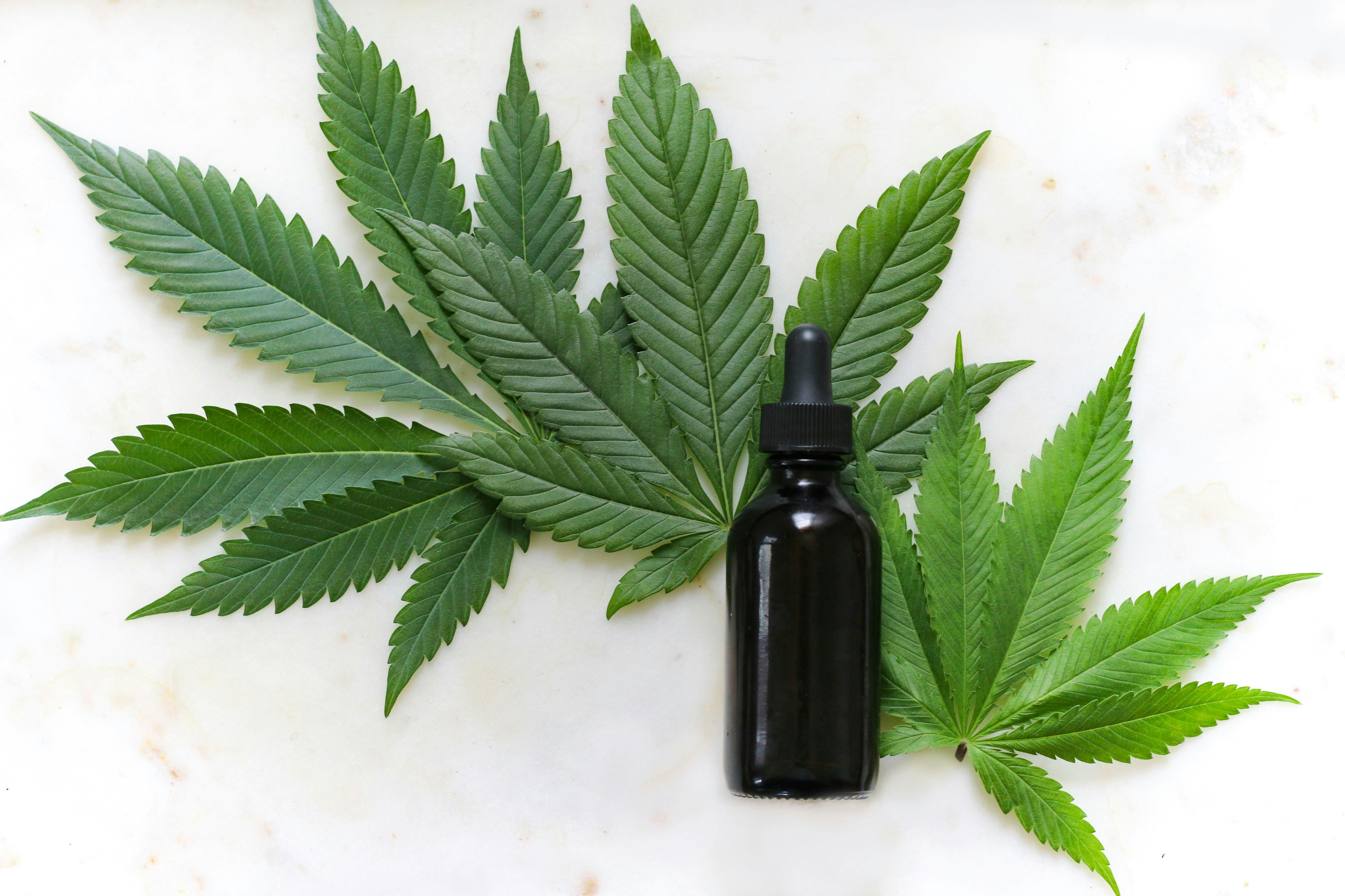 Demystifying Cannabis Growth 27 Jul 2019