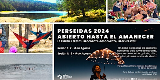 Perseidas 2024. Abierto hasta el Amanecer.