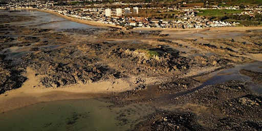 Imagem principal do evento Green Island - Intertidal Walk