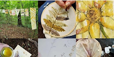 Creating Natural Dyes primary image