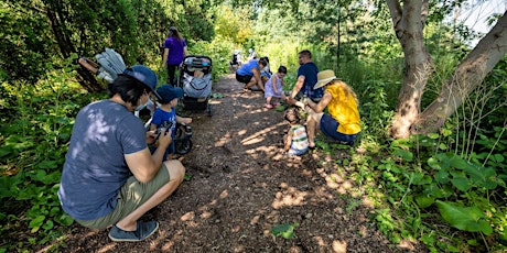 Jr. Forest Explorers // Explorateurs Forestiers Juniors