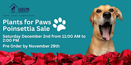 GHS Plants for Paws Poinsettias  Holiday Sale primary image