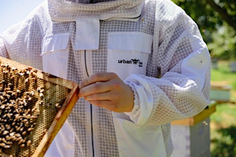 Primaire afbeelding van Beginner Beekeeping Course