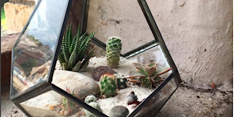 Cacti & Succulent Terrarium Workshop primary image