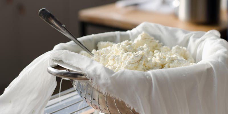 Hands-On Cheese Making Workshop