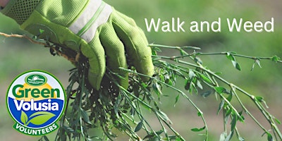 Hauptbild für Volunteer Walk and Weed at Lake Ashby Park