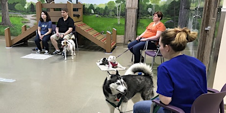 Dogs and Guests - Dog Behavior Workshop primary image