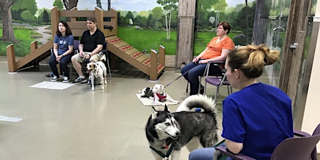 Tricks & Games - Dog Behavior Workshop primary image