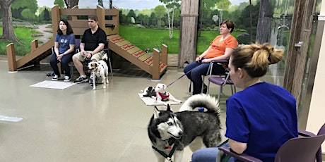 Settle & Stay - Dog Behavior Workshop primary image