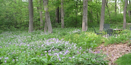 Native Garden Planning Workshop