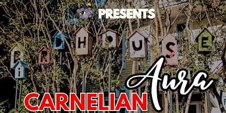 Carnelian Aura - Documentary Screening primary image