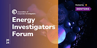 Primaire afbeelding van Energy Investigators Forum