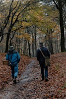 Wild mushroom foraging and feast - Autumn primary image